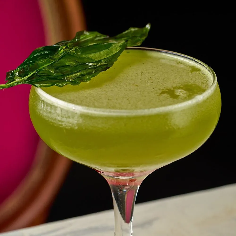 House cocktail in a coupe glass with fresh basil