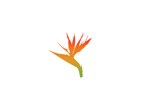 ARROZ BLANCO CATERING