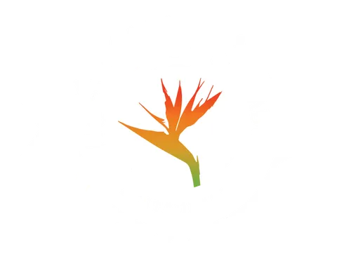 AGUAPANELA CALIENTE PEQ