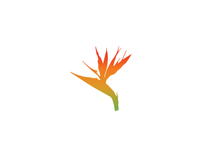 website logo