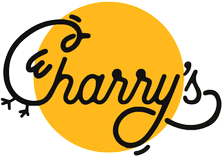 website logo